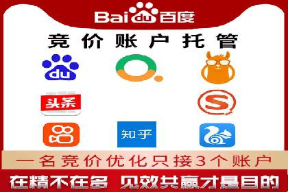 网络推广中的竞价广告：成功案例解析